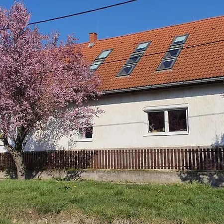 Apartment Garden - Balaton *