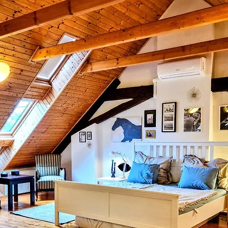 Garden - Balaton Apartment *
