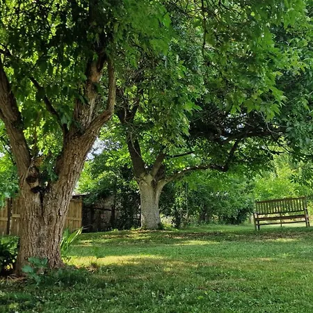 Garden - Balaton Apartamento Szolad