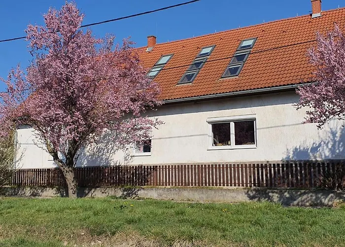 Apartmán Garden - Balaton *